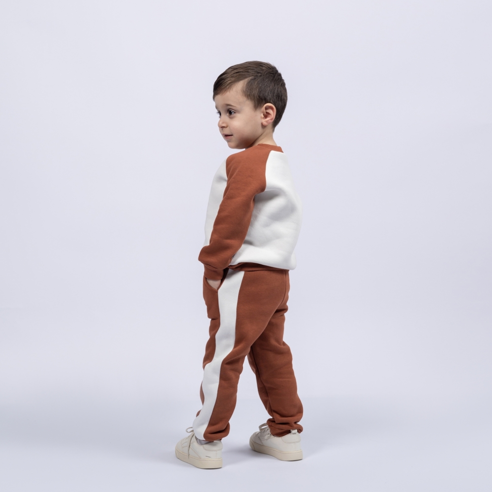 314-Ш. Свитшот + Штаны, шоколад, хлопок 65%, 35% ПЭ, 3-х нитка (начес) 80,86,92